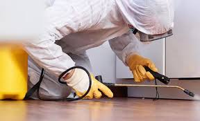 Pest Control for Hotels in East Niles, CA